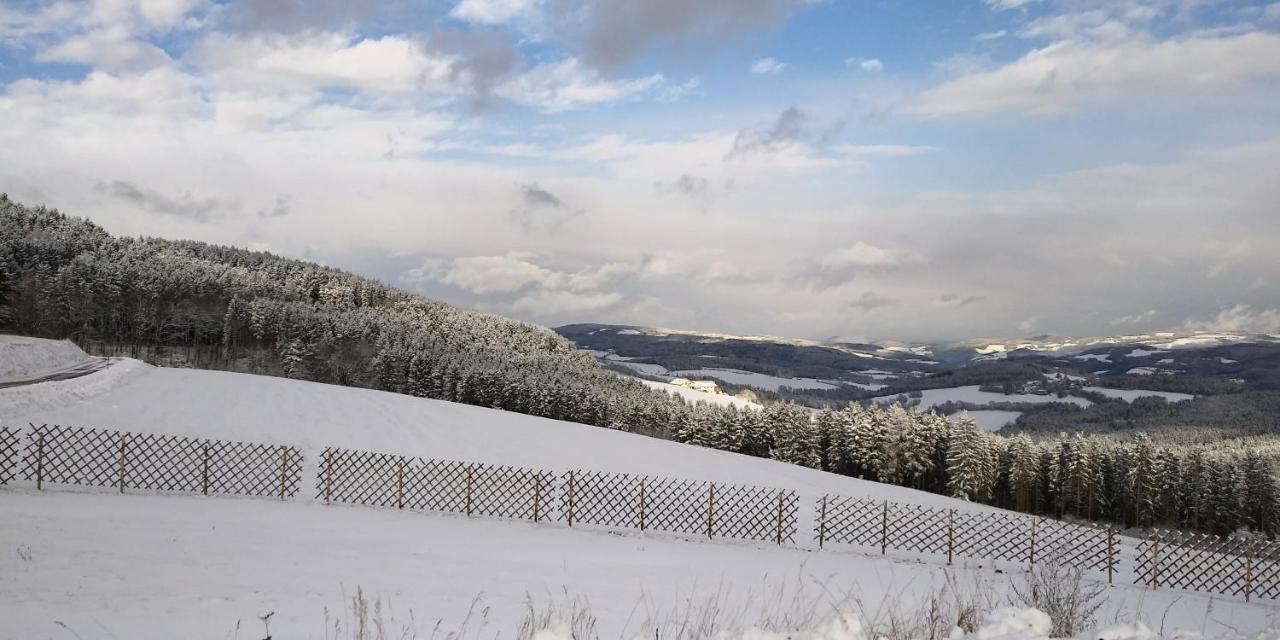 Wald-Panorama-Zimmer Bed and Breakfast Mönichkirchen Exterior foto