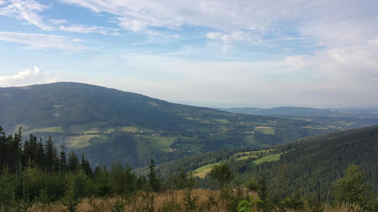 Wald-Panorama-Zimmer Bed and Breakfast Mönichkirchen Exterior foto