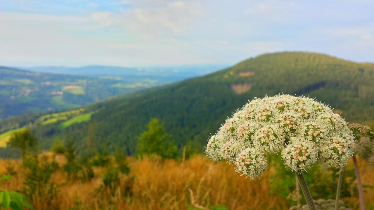 Wald-Panorama-Zimmer Bed and Breakfast Mönichkirchen Exterior foto